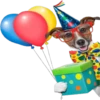 Happy Birthday 12
