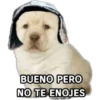 Perrito Meme 9