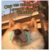 Otra ves naiden me dijo
vuenos días bb,
textraño
@mood adolescente