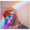 +Soy bi
-¿Por qué?
ane te bi y me enamor