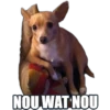NOU WAT NOU