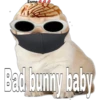 perritos 7