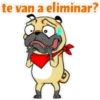 ⍤pεRcy pug⍤ 11