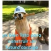 yo bien listo para
construir un
futuro contigos