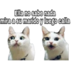 Ramito de Violetas 13