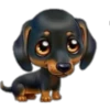 perritos 5