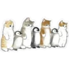 Gatitos hermosos 6 11