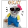 OKAY. 000