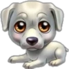 perritos 6