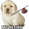 Perrito Meme 11