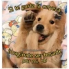 SINO
Si te gusta la cerveza
BEST
imagínate ser besadx
por mi, bb
@mood.adolescente.
SH