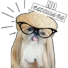 NO excuses