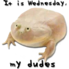 It is Wednesday,
my dudes