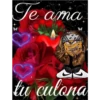 bob cholo 13