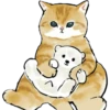 Gatitos hermosos 6 12