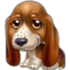 perritos 8