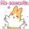 Orange Rabbit 1 8