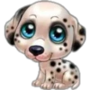 perritos 9
