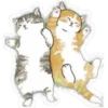Gatitos hermosos 6 18