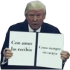 Ramito de Violetas 16