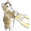 www