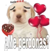 perritos 9
