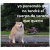 yo pensando que
no tendré el
cuerpo de verano
que quería