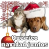 Animales navideños 18