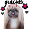 gracias