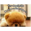 Toy deprimido
Me dices cositas lindas ??