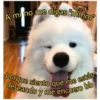 A mi no me digas "mmm
porque siento que me estás
deseando y me encuero bb
adolescente