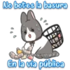 Orange Rabbit 1 12