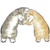 Gatitos hermosos 6 21