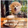 me gusta el café
ese de tus ojos