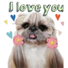 I love you