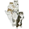 Gatitos hermosos 6 22