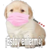 perritos 14