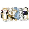 Gatitos hermosos 6 23