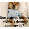 Que esperas que no
vienes a dormir
conmigo bb?