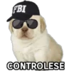 Perrito Meme 16