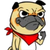 ⍤pεRcy pug⍤ 13
