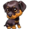 perritos 10
