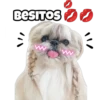 BESITOS W