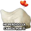 Perrito Meme 18