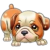 perritos 11