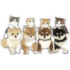Gatitos hermosos 6 24