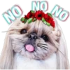 NO NO NO