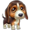 perritos 12