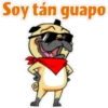 ⍤pεRcy pug⍤ 15