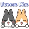 Orange Rabbit 1 14